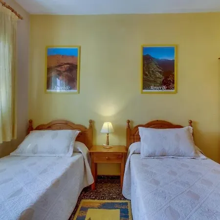 فيلة Morera